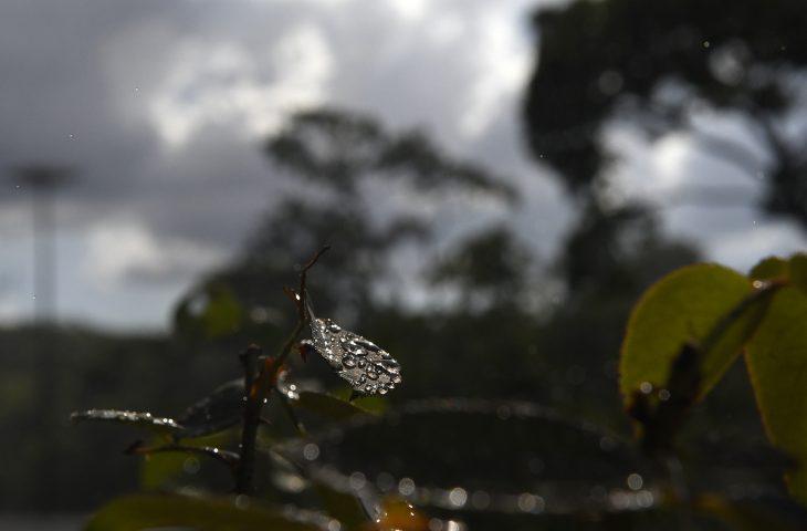 Frente fria avança sobre MS e provoca mudança no tempo com possibilidade de chuvas e queda nas temperaturas. Frente fria avança sobre MS e provoca mudança no tempo com possibilidade de chuvas e queda nas temperaturas.