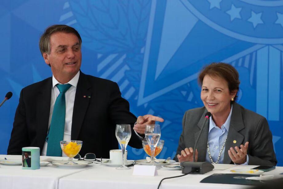 A Senadora Tereza Cristina diz que condenação de Bolsonaro é injusta e pena "altíssima" A Senadora Tereza Cristina diz que condenação de Bolsonaro é injusta e pena