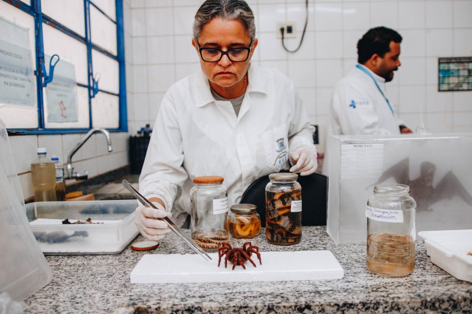 Além do atendimento médico, onde mais o SUS atua? 