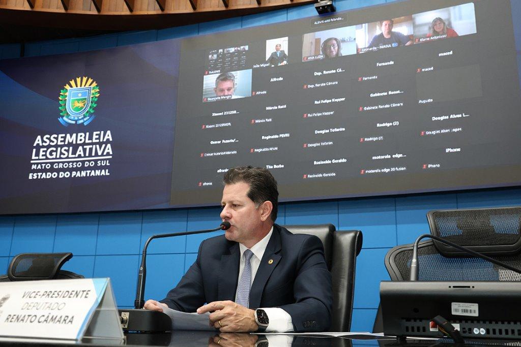 Às vésperas da COP15, MS escolhe a juruva como ave símbolo da Mata Atlântica.