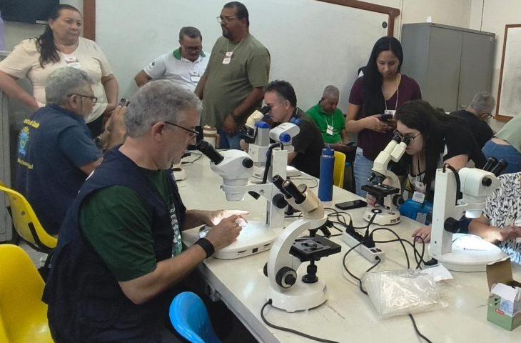 Coleta de vetores, testagem e alinhamento técnico: Saúde de MS antecipa combate à Febre Oropouche. Coleta de vetores, testagem e alinhamento técnico: Saúde de MS antecipa combate à Febre Oropouche.