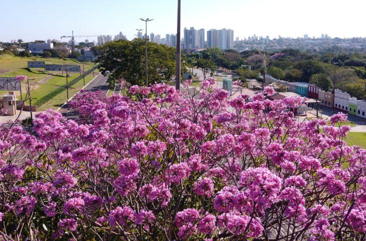 Mato Grosso do Sul lança planos estratégicos de turismo para Campo Grande dos Ipês e Vale das Águas. Mato Grosso do Sul lança planos estratégicos de turismo para Campo Grande dos Ipês e Vale das Águas.