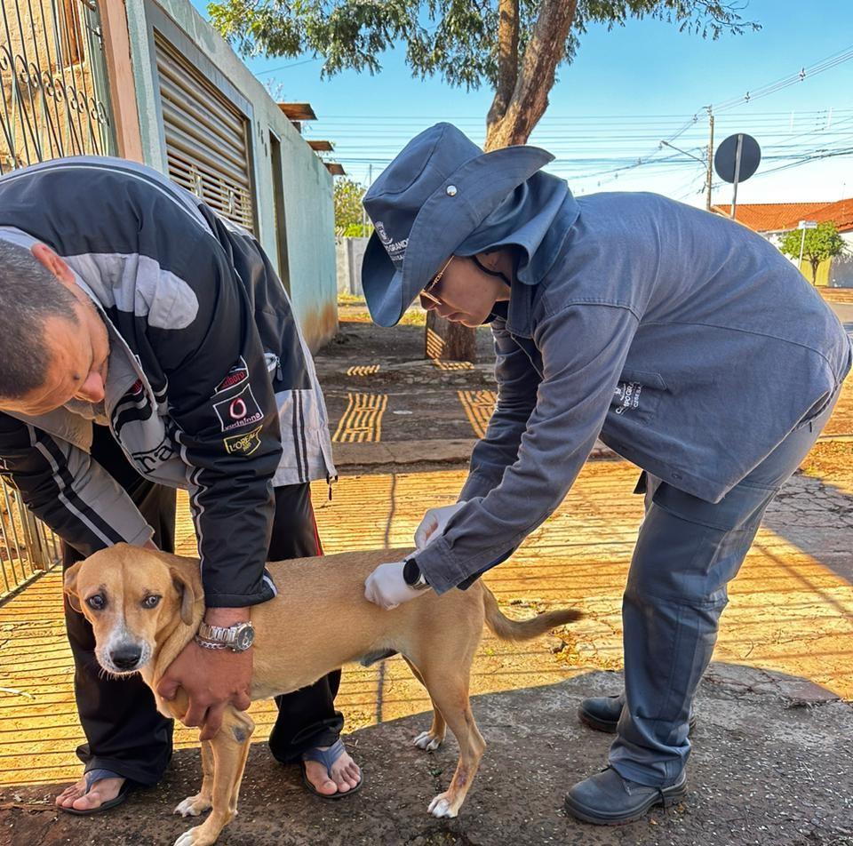 Campanha de vacinação contra raiva de cães e gatos segue em novos bairros de Campo Grande. Campanha de vacinação contra raiva de cães e gatos segue em novos bairros de Campo Grande.