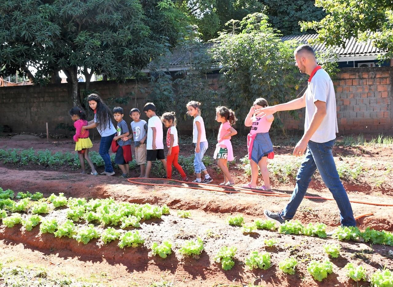 Campo Grande une educação e agricultura para fortalecer a alimentação escolar. Campo Grande une educação e agricultura para fortalecer a alimentação escolar.