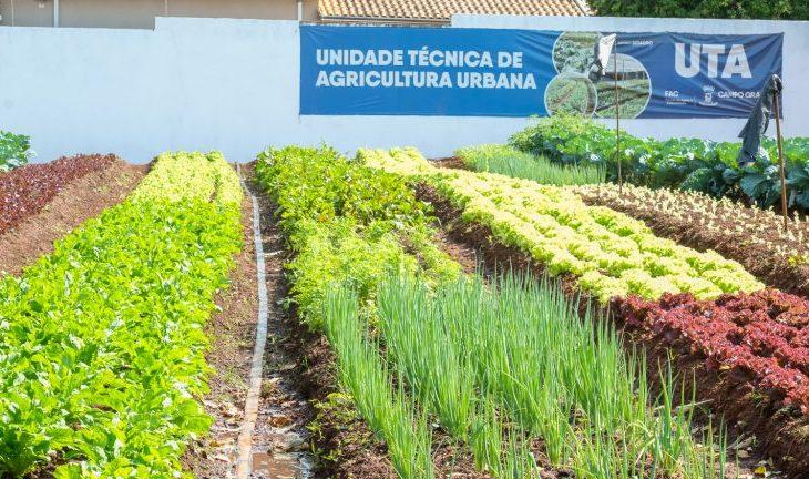 Hortifrutis doados pela Ceasa em MS matam a fome e viram adubo para a comunidade. Hortifrutis doados pela Ceasa em MS matam a fome e viram adubo para a comunidade.
