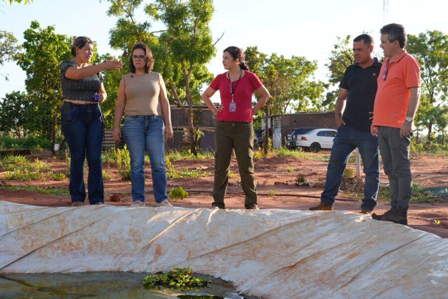 Sem luz e com perdas na produção, famílias da Agrovila Campão Orgânico pedem regularização e dignidade. Sem luz e com perdas na produção, famílias da Agrovila Campão Orgânico pedem regularização e dignidade.