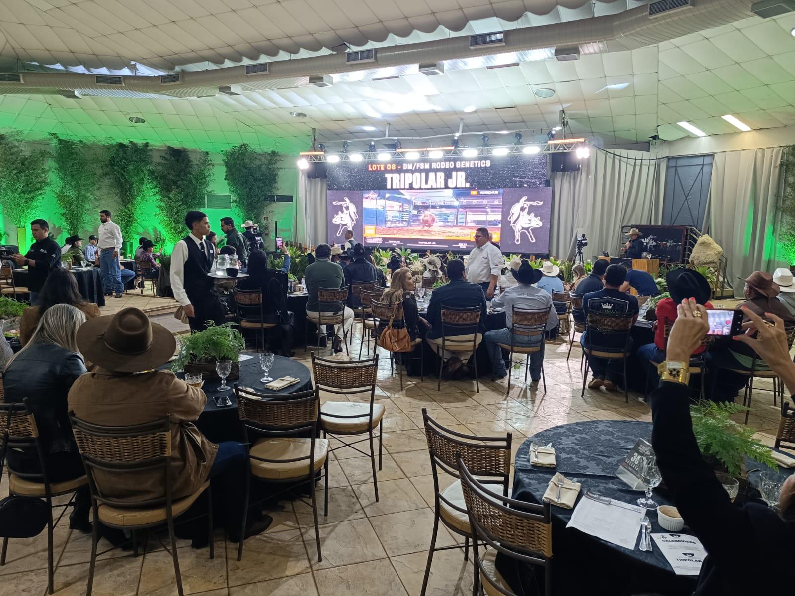 2º Leilão Estrelas da PBR: Genética, Coragem e Tradição em Alta Performance.