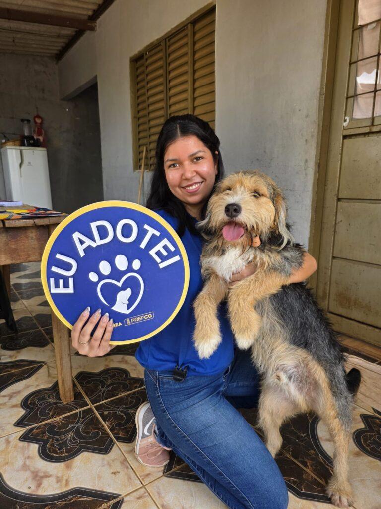 Cães ou gatos? Caramelos ou Pretinhos? Subea realiza última feira de adoção no próximo domingo.