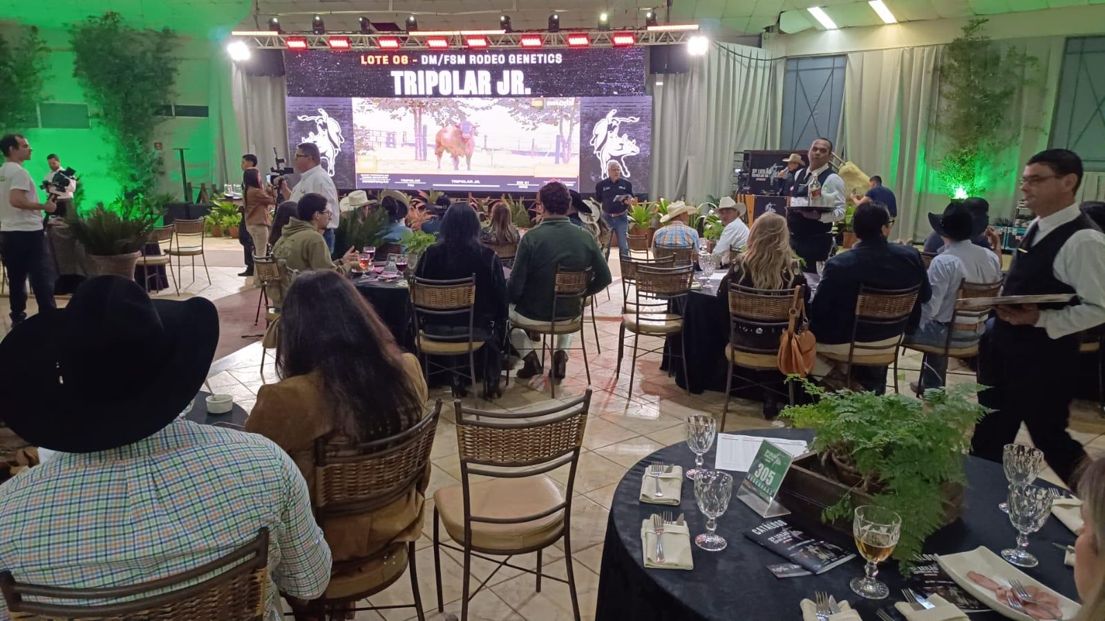 2º Leilão Estrelas da PBR: Genética, Coragem e Tradição em Alta Performance.