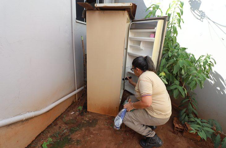 Boletim Epidemiológico: MS registra 8.299 casos confirmados de dengue.