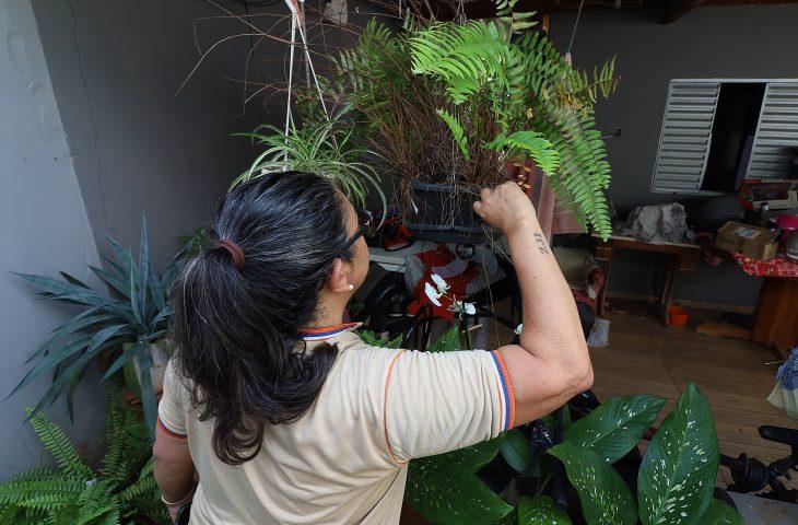 Contra o mosquito, todos do mesmo lado: Mato Grosso do Sul realiza ‘Dia D’ de Combate à Dengue.