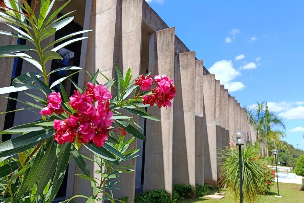 Destaque da semana é lançamento do cronograma de emendas parlamentares 2026.