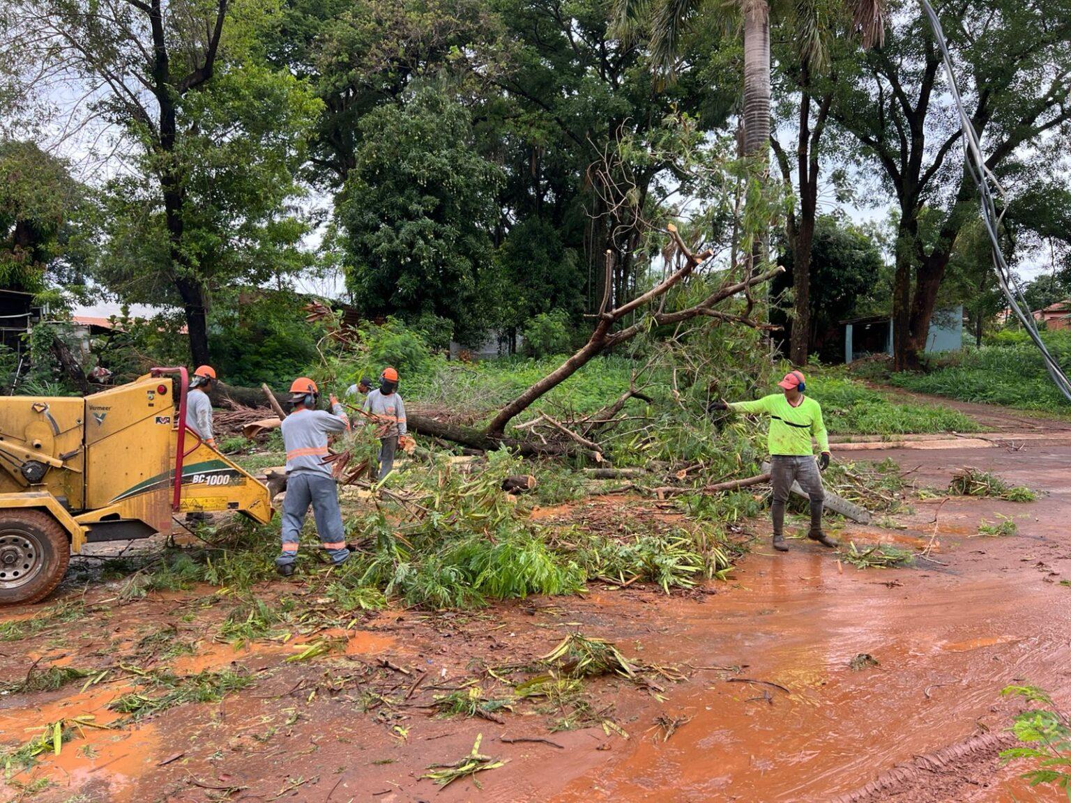 Prefeitura mobiliza equipes para limpar e desobstruir vias após chuva forte.