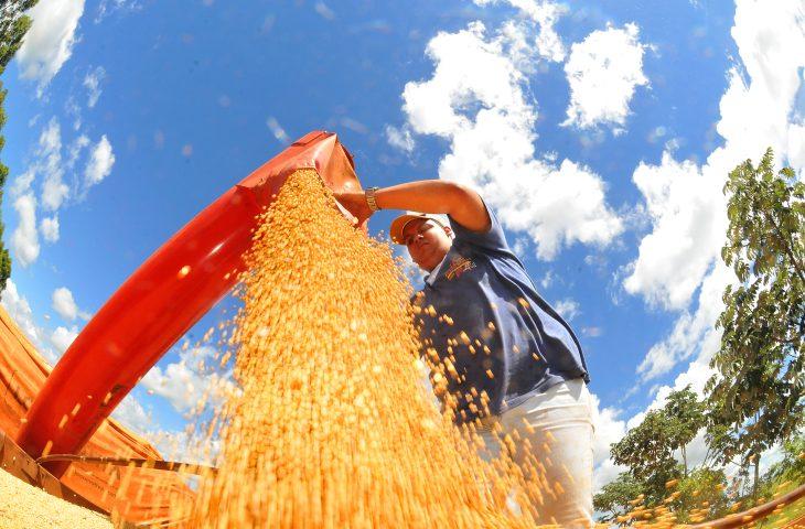 Valor Bruto da Produção Agropecuária de Mato Grosso do Sul cresce 23,6% e atinge R$ 76,3 bilhões.