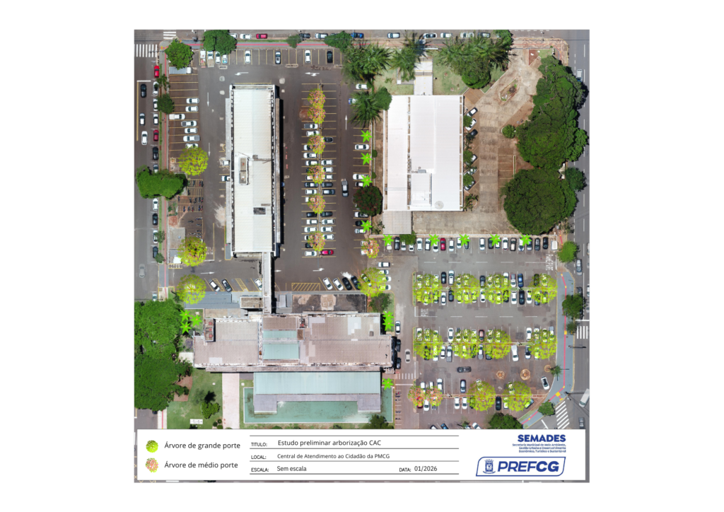 Prefeitura planeja espaços arborizados com espécies nativas.