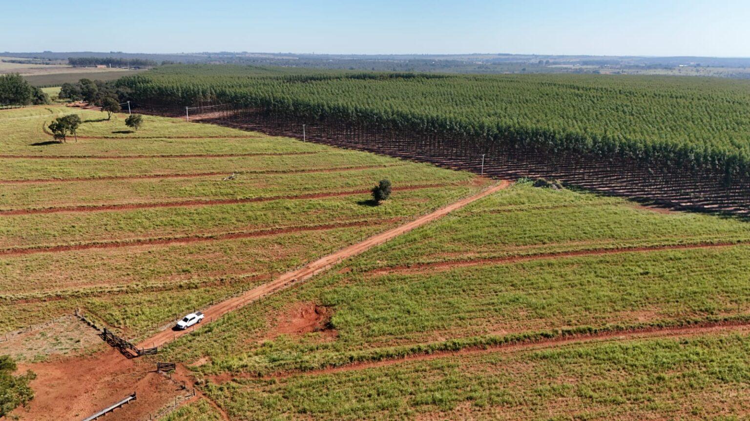 Campo Grande sedia encontro estratégico de logística florestal.