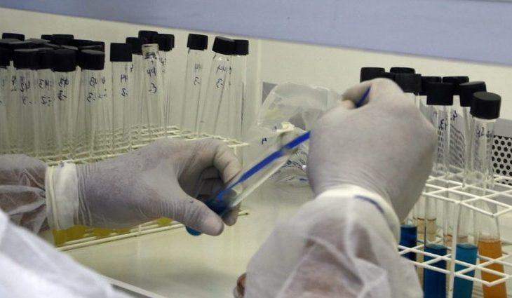 Lacen/MS recebe nota máxima em ensaios de proficiência e reforça excelência técnica.