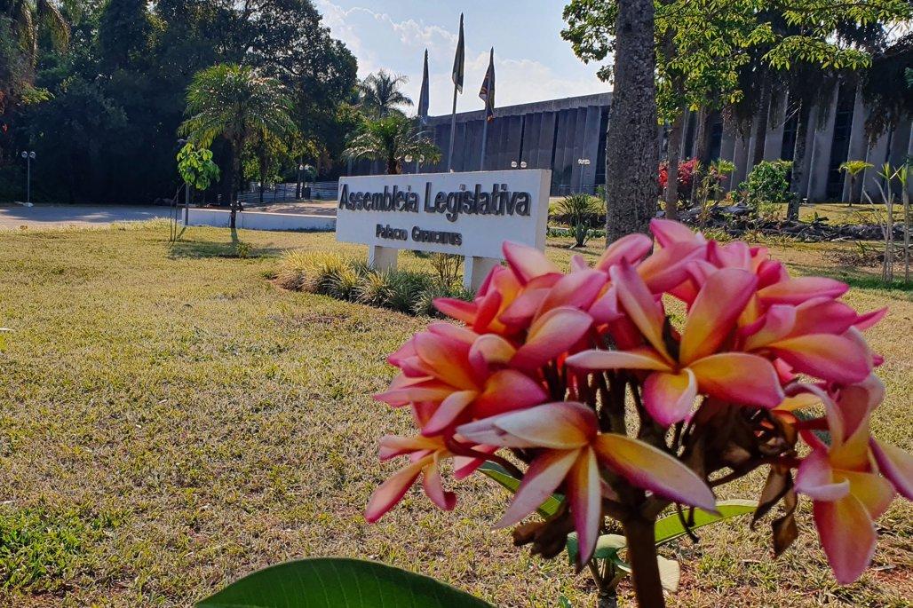 Retrospectiva: Combate à violência contra a mulher é prioridade na ALEMS.